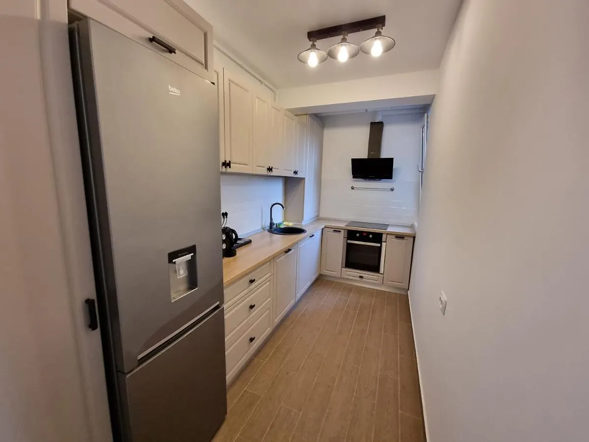 Grand Look & Best Location For Business On 부쿠레슈티 아파트